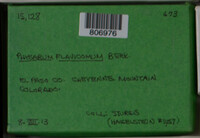 Image Associated With the Occurence